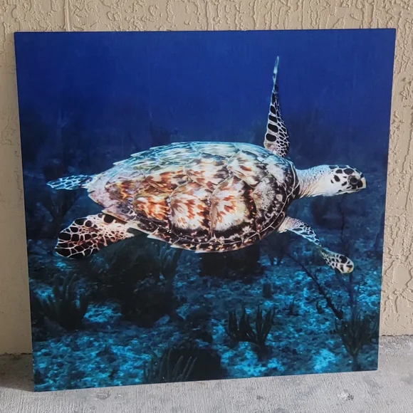 Aluminum Sea Turtle Ocean Wall Art 30x30